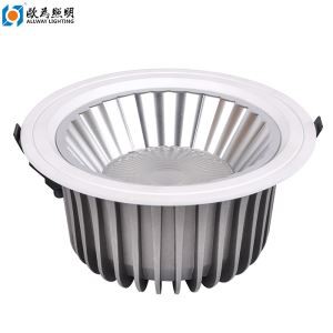 Downlight 40W Satin Chrome